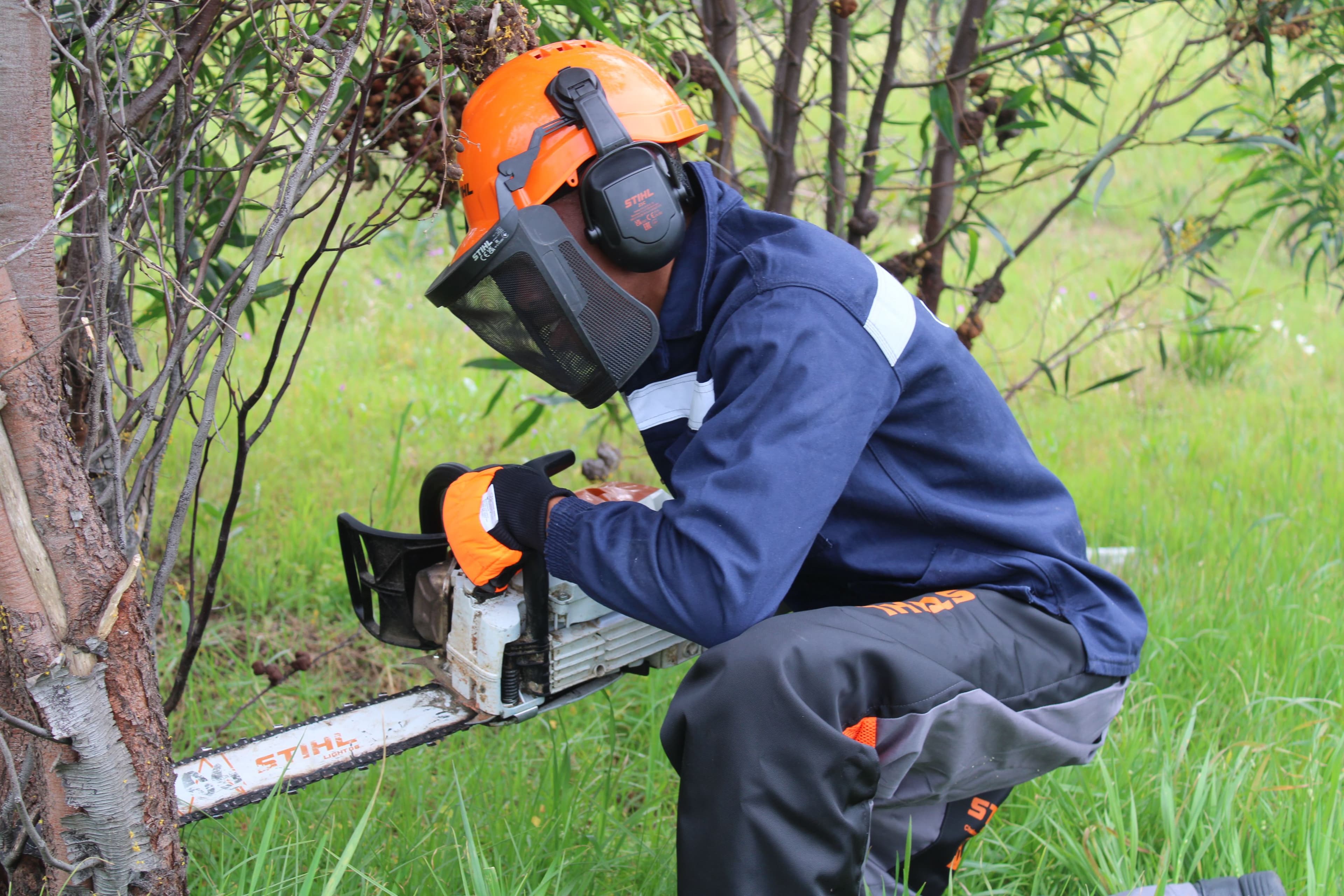 Vegetation Management Services — photo 3