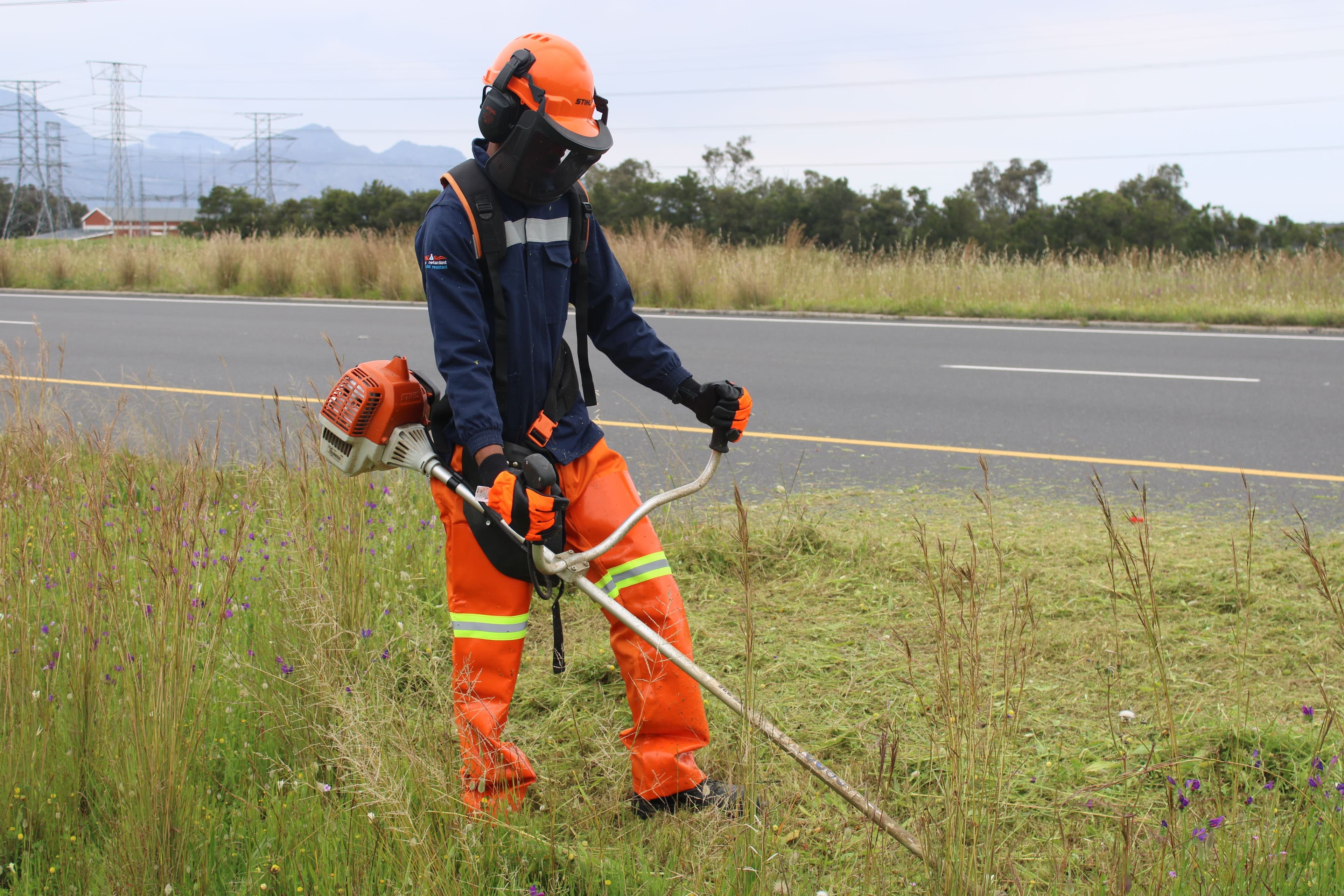 Vegetation Management Services — photo 1